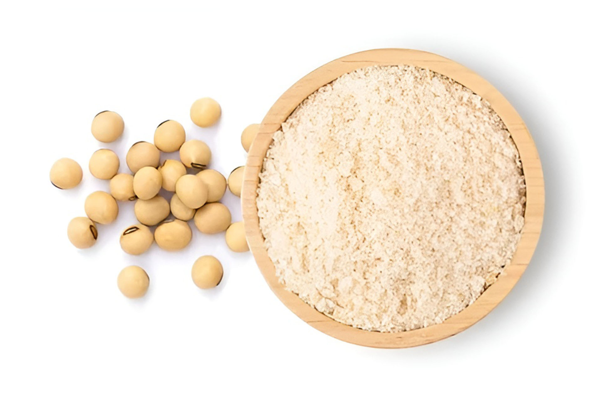 What-is-soy-protein-concentrate